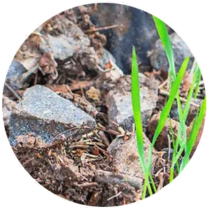 Groen tuinafval container formaat