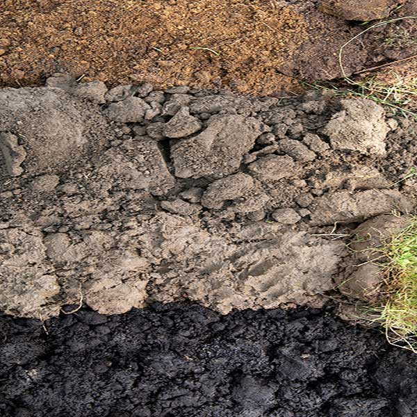 Grond