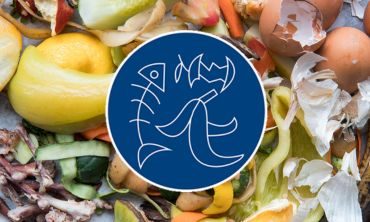 Swill container Alkmaar Swill container Alkmaar